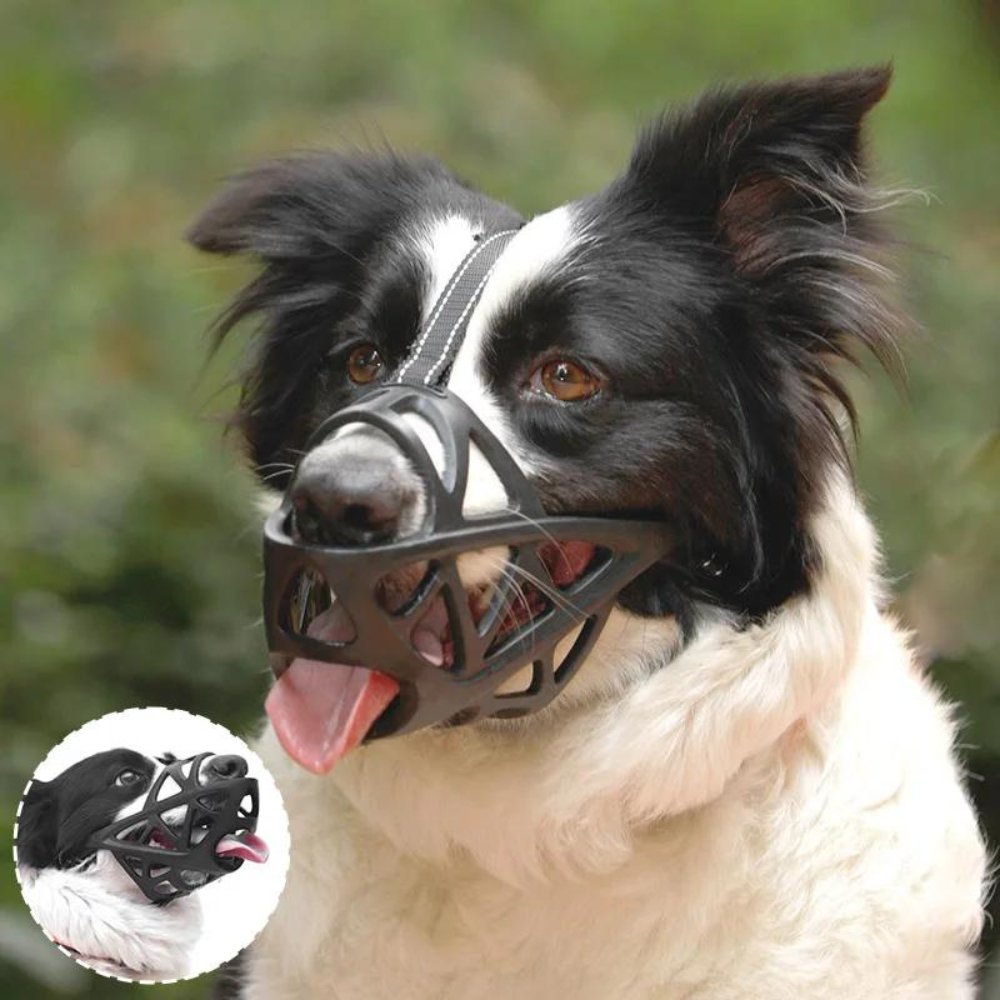 DOGORA – Muzzle per cani morbido per situazioni quotidiane sicure
