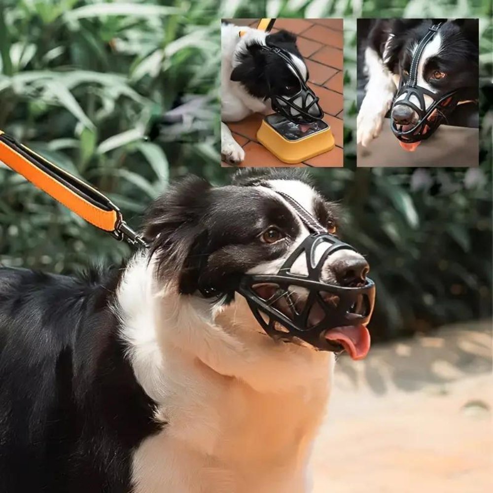 DOGORA – Muzzle per cani morbido per situazioni quotidiane sicure