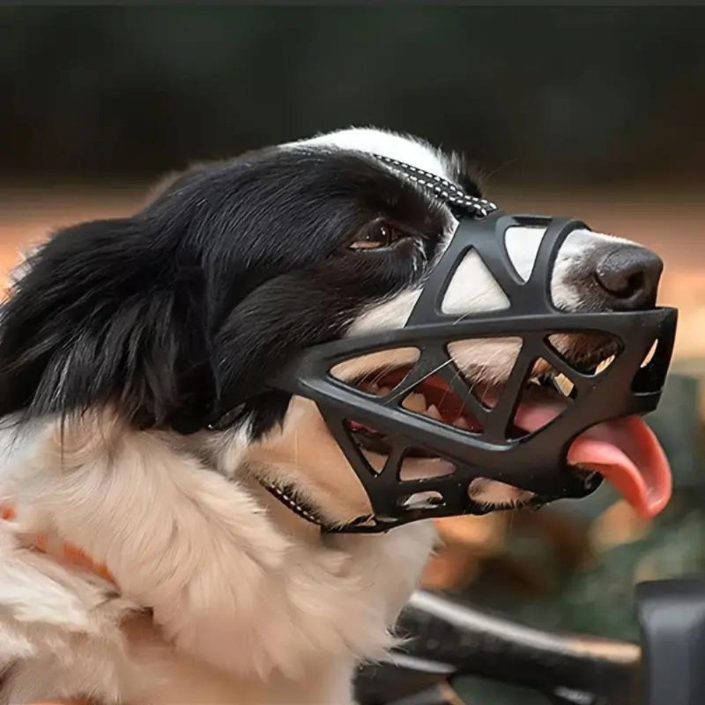 DOGORA – Muzzle per cani morbido per situazioni quotidiane sicure