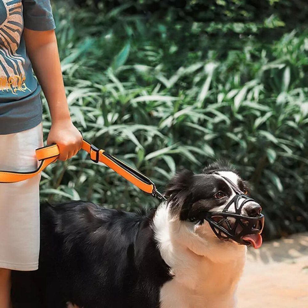 DOGORA – Muzzle per cani morbido per situazioni quotidiane sicure