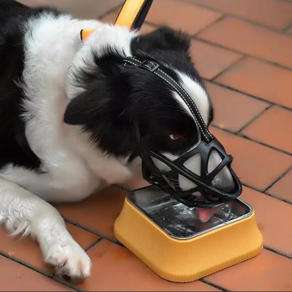 DOGORA – Muzzle per cani morbido per situazioni quotidiane sicure