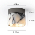 Erasmus Downlight
