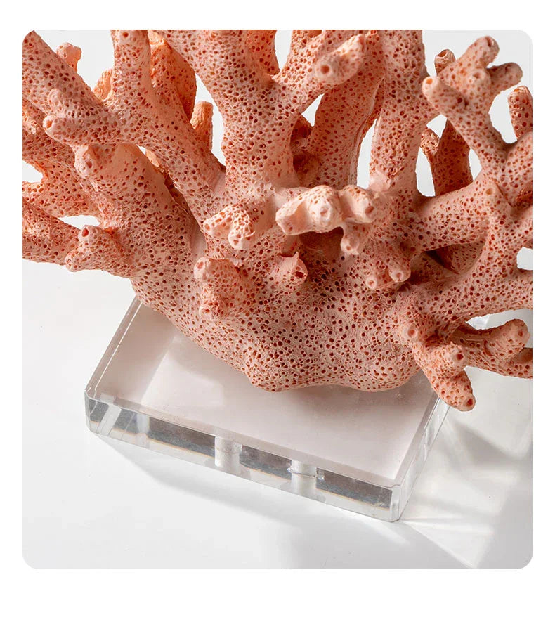 Decorazione del Reef di Coral Bay