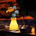 Avara – Vaso Scultoreo con Illuminazione Ricaricabile e Telecomando – Impermeabile per Interni ed Esterni, 16 Colori