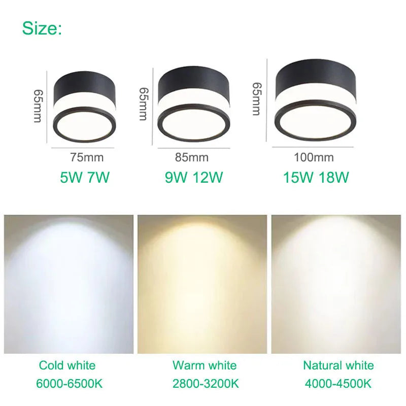 Elyran - Nordic LED Downlight da Incasso Dimmerabile