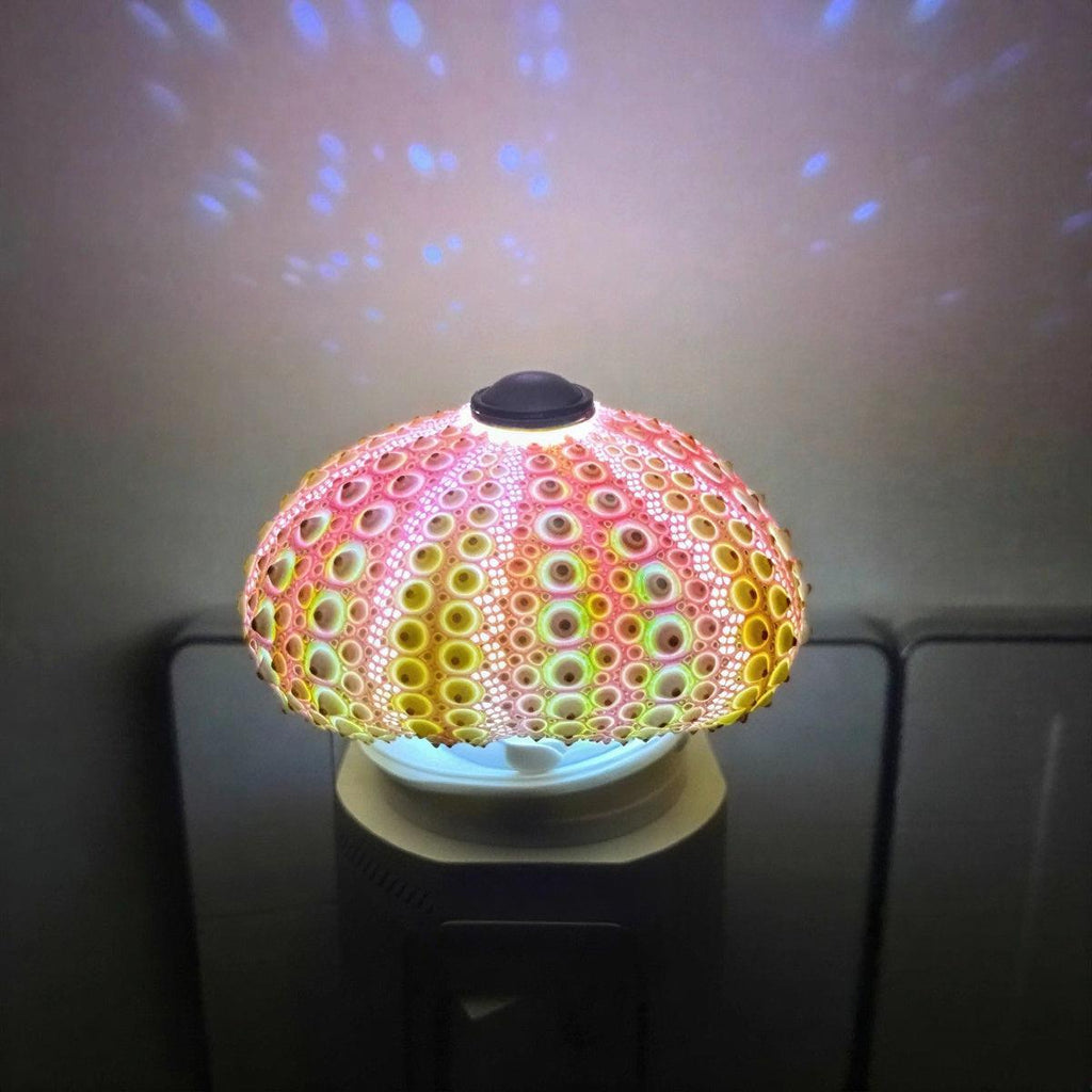 Lampada da Tavolo Riccio di Mare con Design di Illuminazione Oceanica