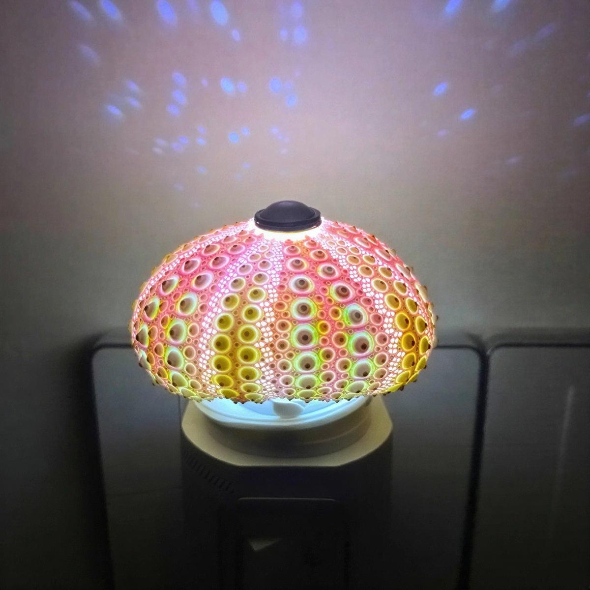 Lampada da Tavolo Riccio di Mare con Design di Illuminazione Oceanica