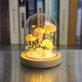 Lampada da Tavolo Riccio di Mare con Design di Illuminazione Oceanica