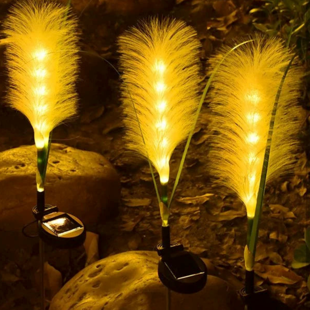 Luci solari per giardini | Picchetti da giardino LED in erba pampas | Resistenti alle intemperie | Grassbeam
