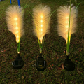 Luci solari per giardini | Picchetti da giardino LED in erba pampas | Resistenti alle intemperie | Grassbeam
