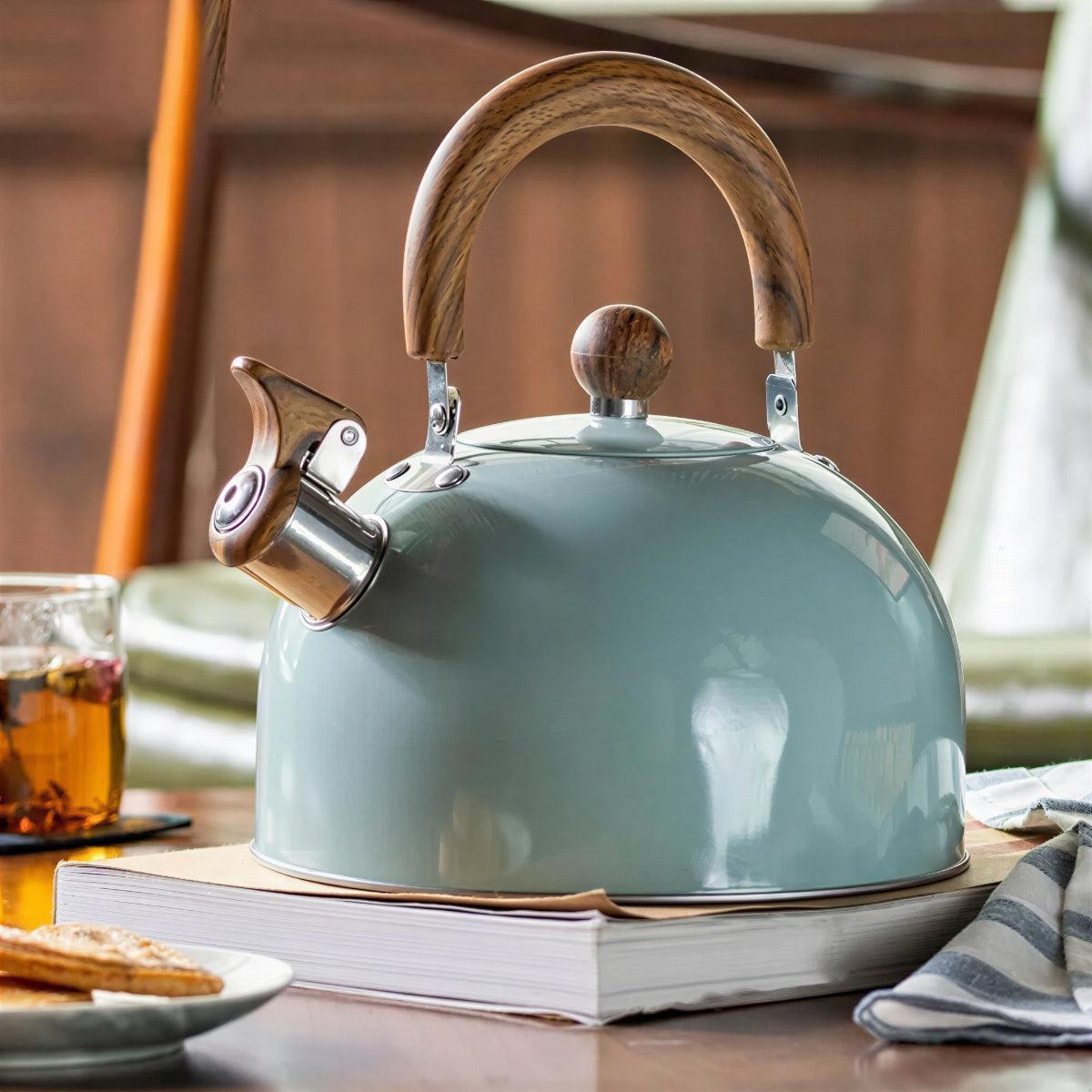 Bollitore da Cucina con Fischietto per Uso su Gas e Induzione