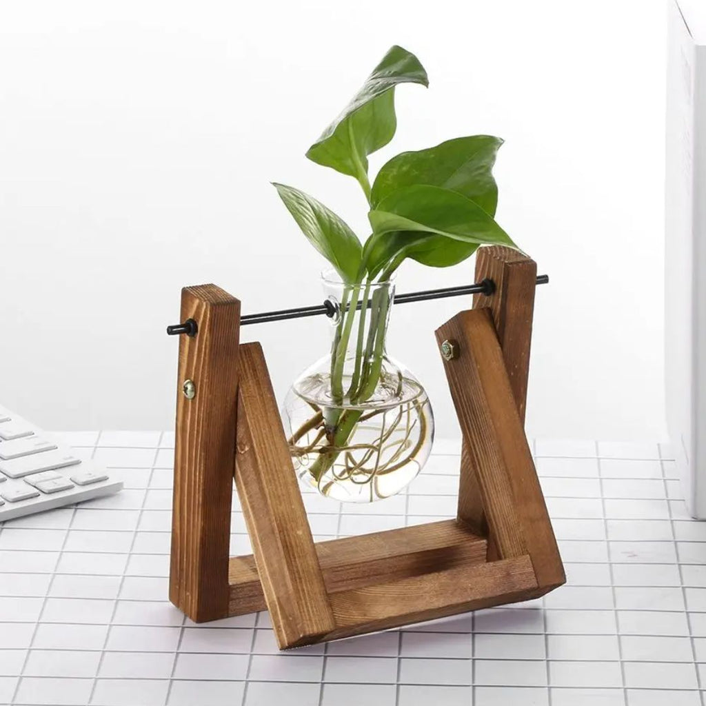 Vaso idroponico moderno con vassoio in legno