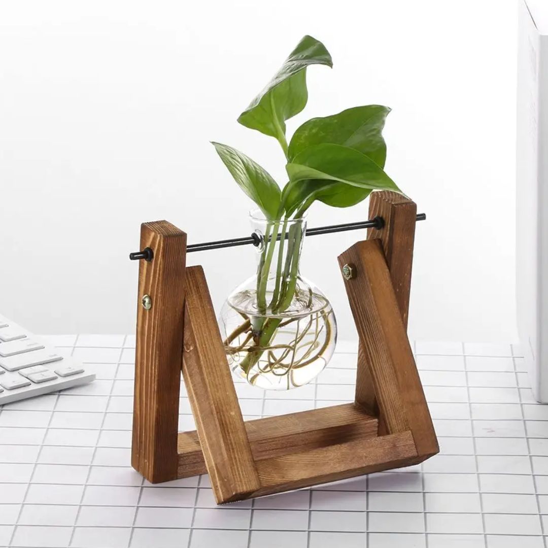 Vaso idroponico moderno con vassoio in legno