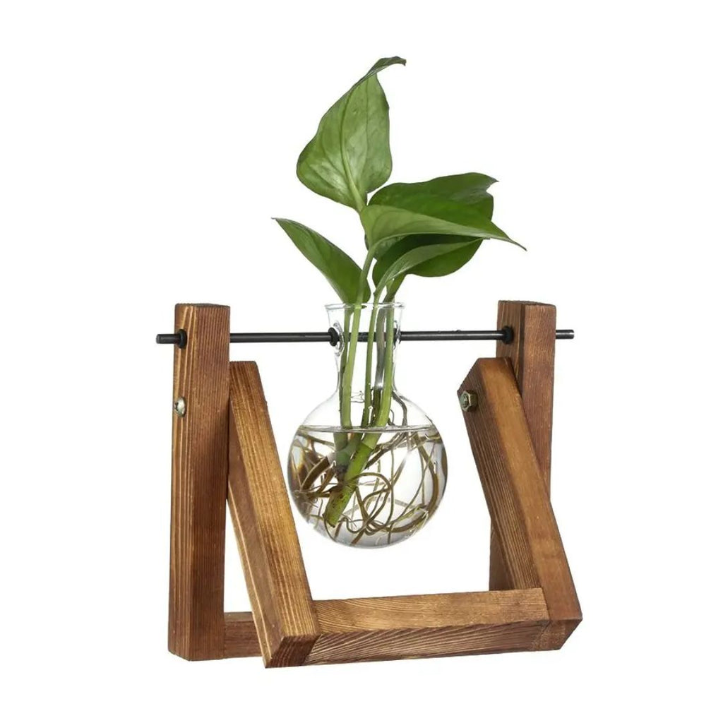 Vaso idroponico moderno con vassoio in legno