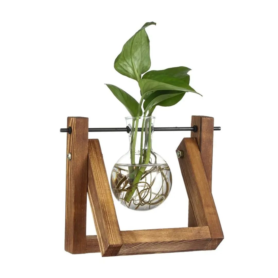 Vaso idroponico moderno con vassoio in legno