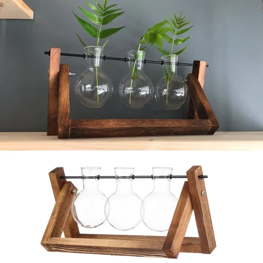Vaso idroponico moderno con vassoio in legno