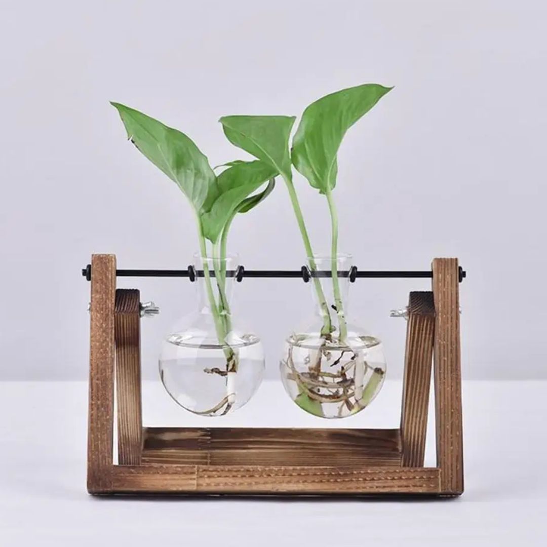 Vaso idroponico moderno con vassoio in legno