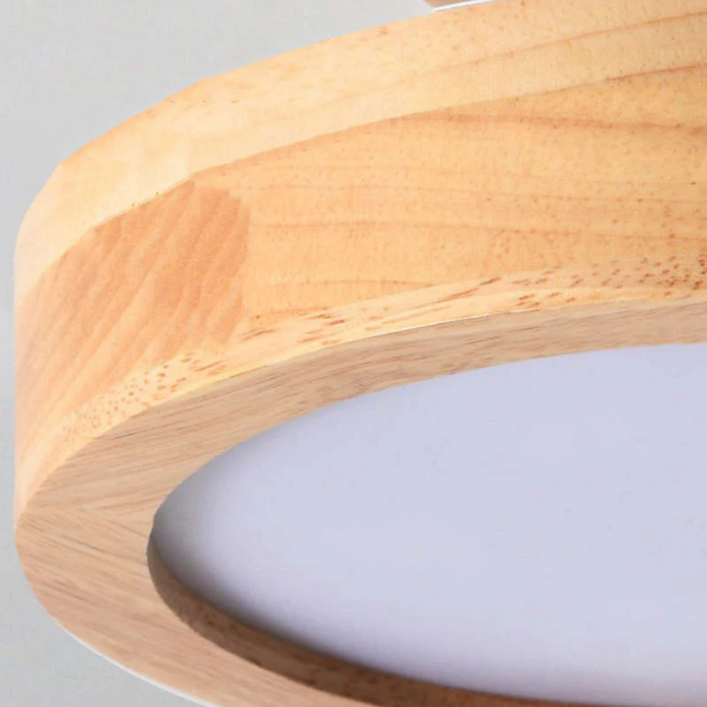 Lampada da soffitto LED rotonda moderna - Nova