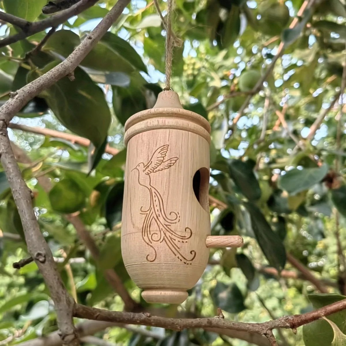Casa per uccelli in legno appesa set da 3 | Motivi incisi | Nido da giardino | BirchHaven