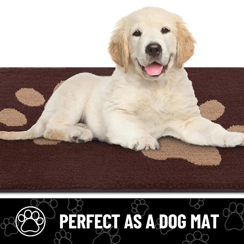 Absorbent Dog Door Mat with Non-Slip Backing & Quick Drying