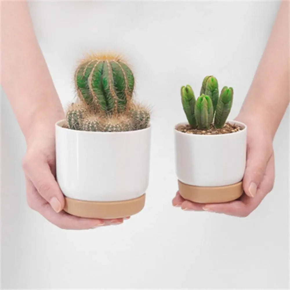BOTANICAIR – Vaso Fiorito Intelligente Autoinnaffiante per Piante da Interno e Ufficio