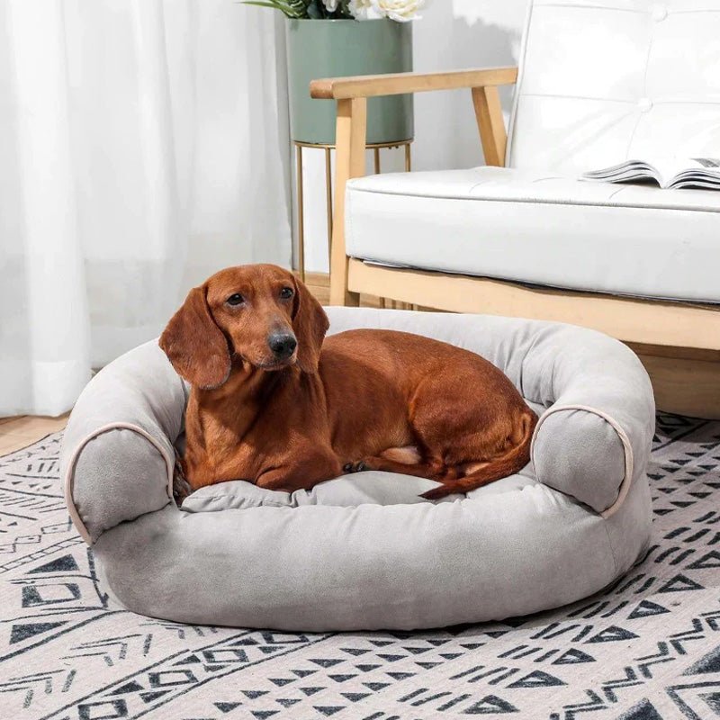 CANIREST – Letto Sofà Ortopedico per Cani con Imbottitura Comfort per la Cura delle Articolazioni degli Anziani