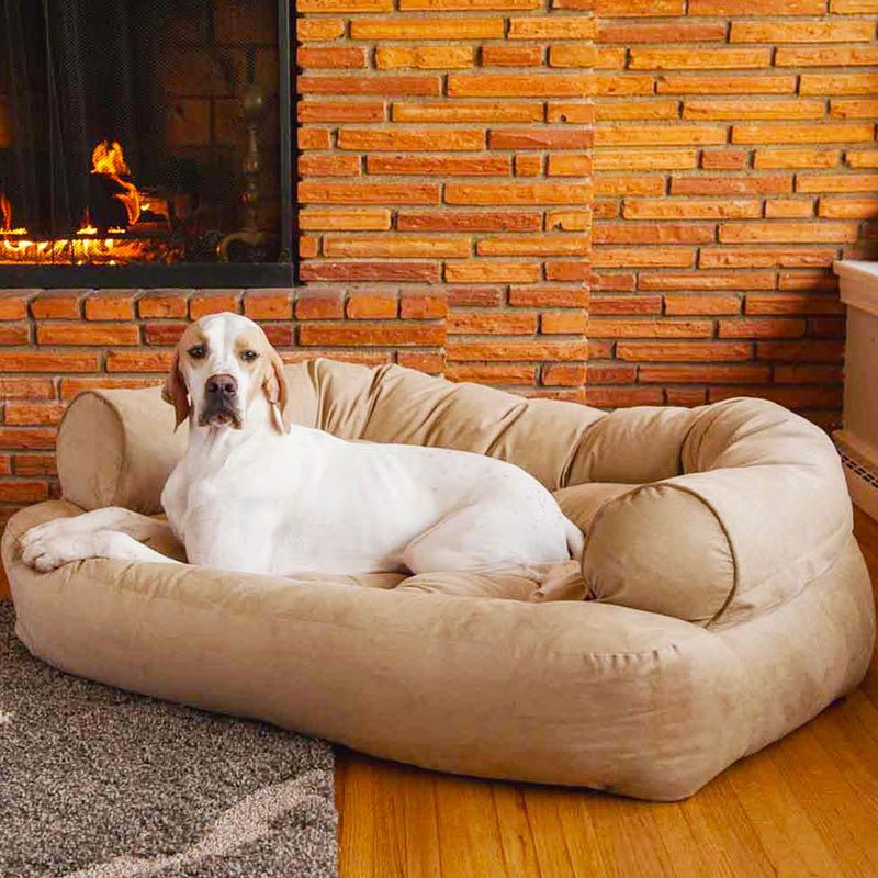CANIREST – Letto Sofà Ortopedico per Cani con Imbottitura Comfort per la Cura delle Articolazioni degli Anziani