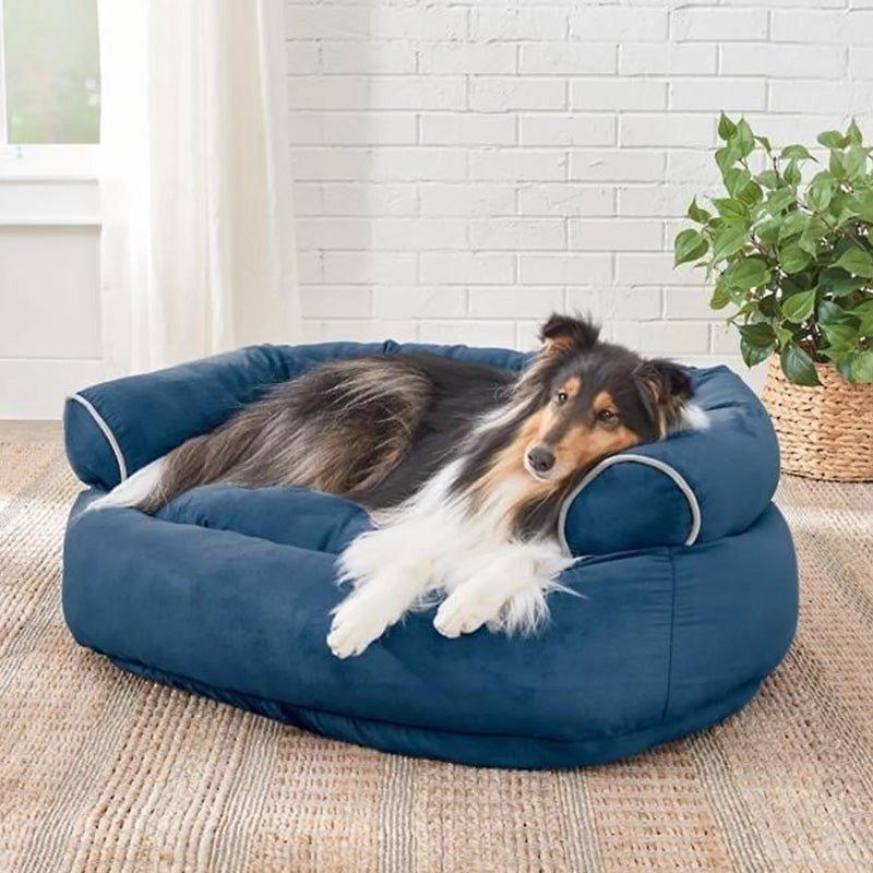 CANIREST – Letto Sofà Ortopedico per Cani con Imbottitura Comfort per la Cura delle Articolazioni degli Anziani