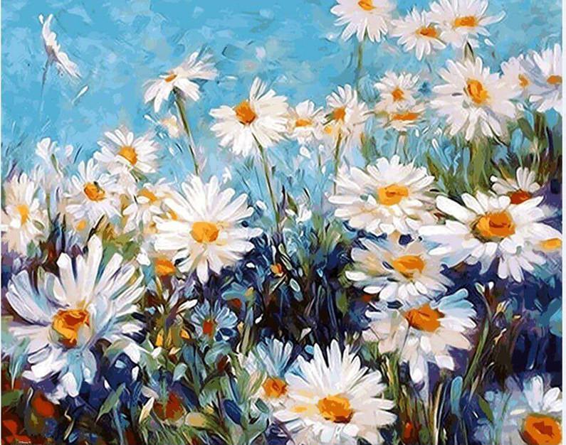 Campo di Margherite - Kit di Pittura per Numeri Van-Go