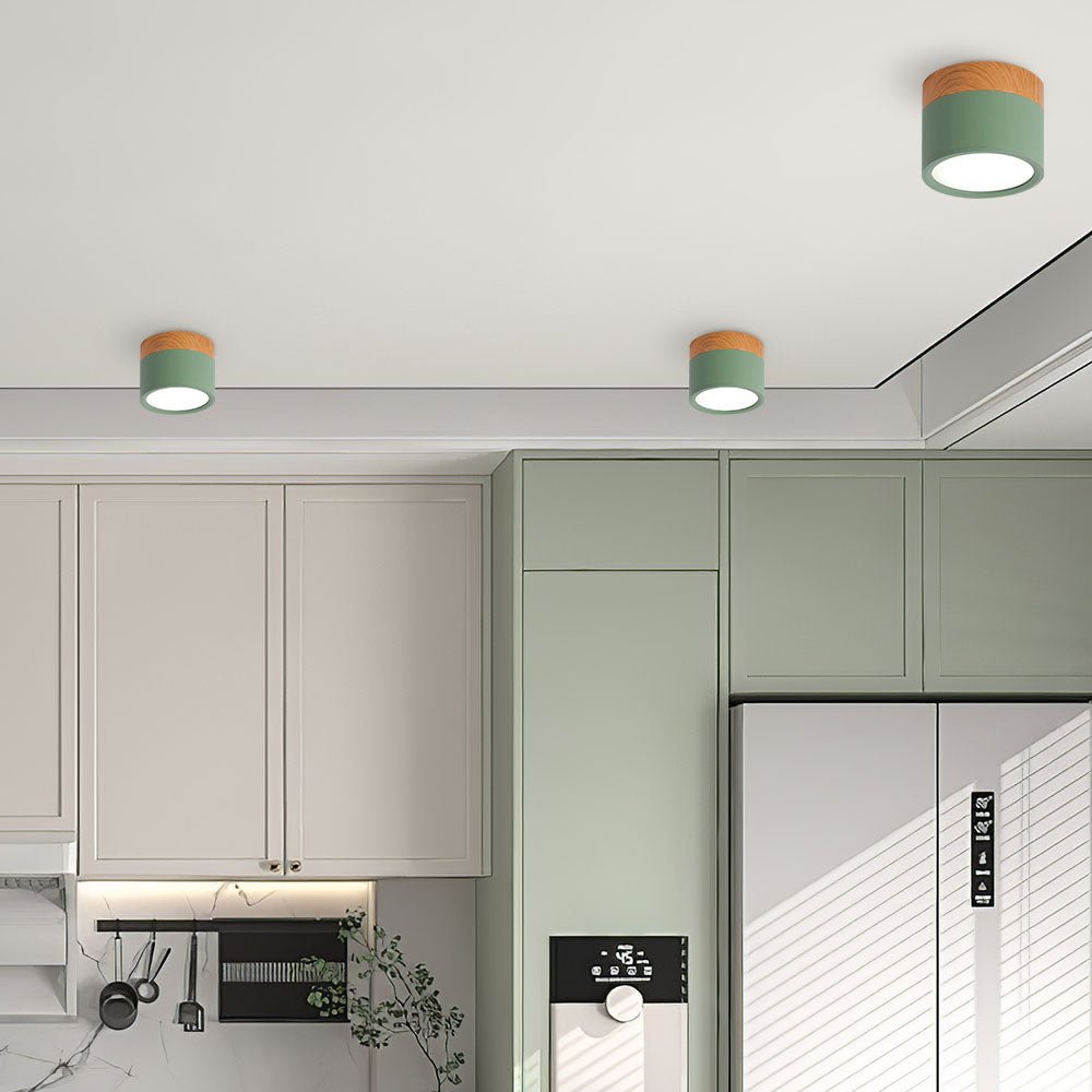 Lampada da soffitto in design cilindrico minimalista