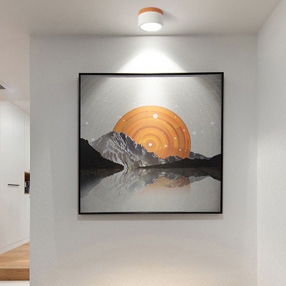 Lampada da soffitto in design cilindrico minimalista