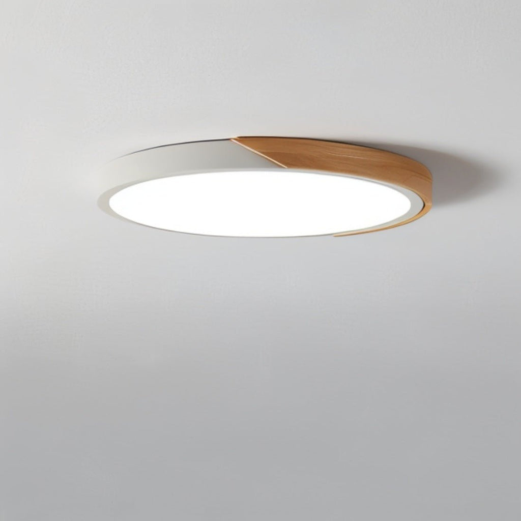 Lampada da soffitto LED moderna - Illuminazione minimalista per il tuo interno