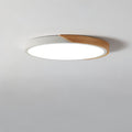 Lampada da soffitto LED moderna - Illuminazione minimalista per il tuo interno