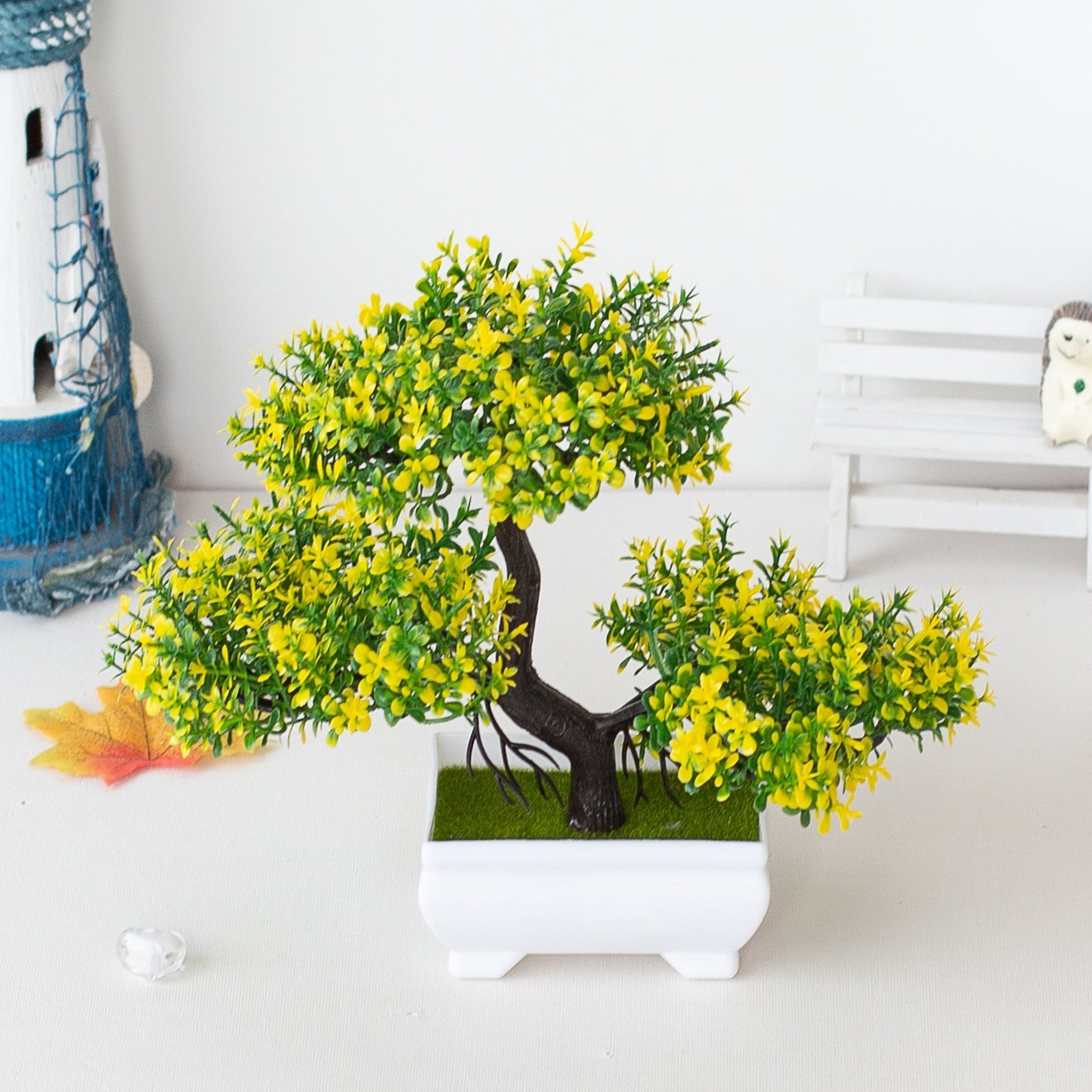 Piante Bonsai