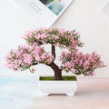 Piante Bonsai