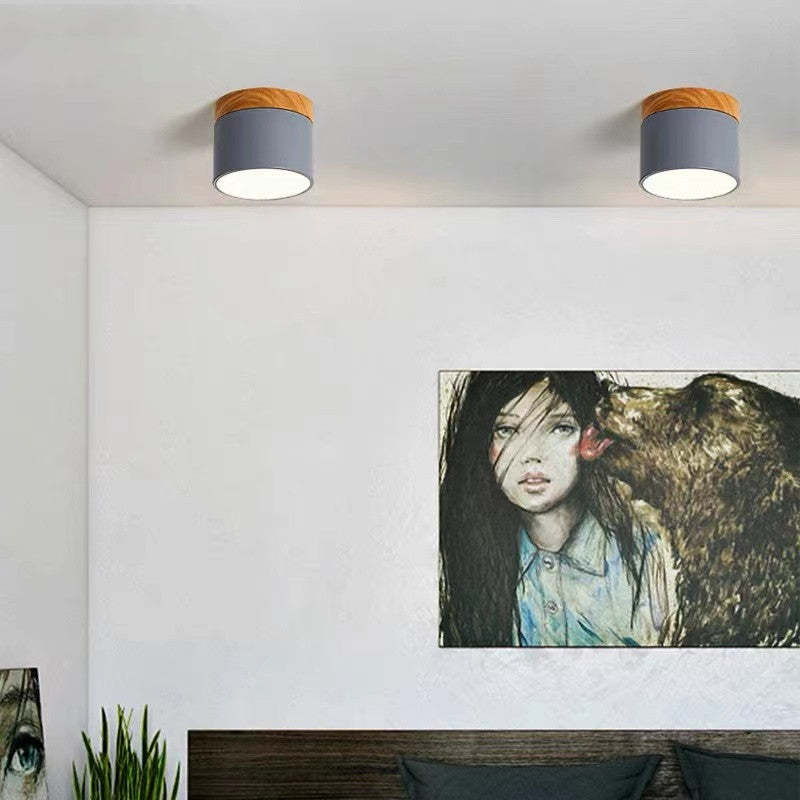Lampada da soffitto LED Morandi Stile Moderno - LumiModo