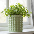 ECOBLOOM – Vaso per Fiori Idroponico Autoirrigante Eco-Friendly per Decorazione Moderna della Casa