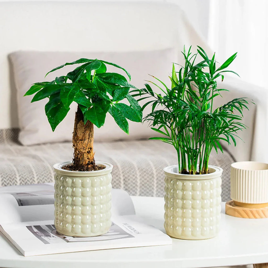 ECOBLOOM – Vaso per Fiori Idroponico Autoirrigante Eco-Friendly per Decorazione Moderna della Casa