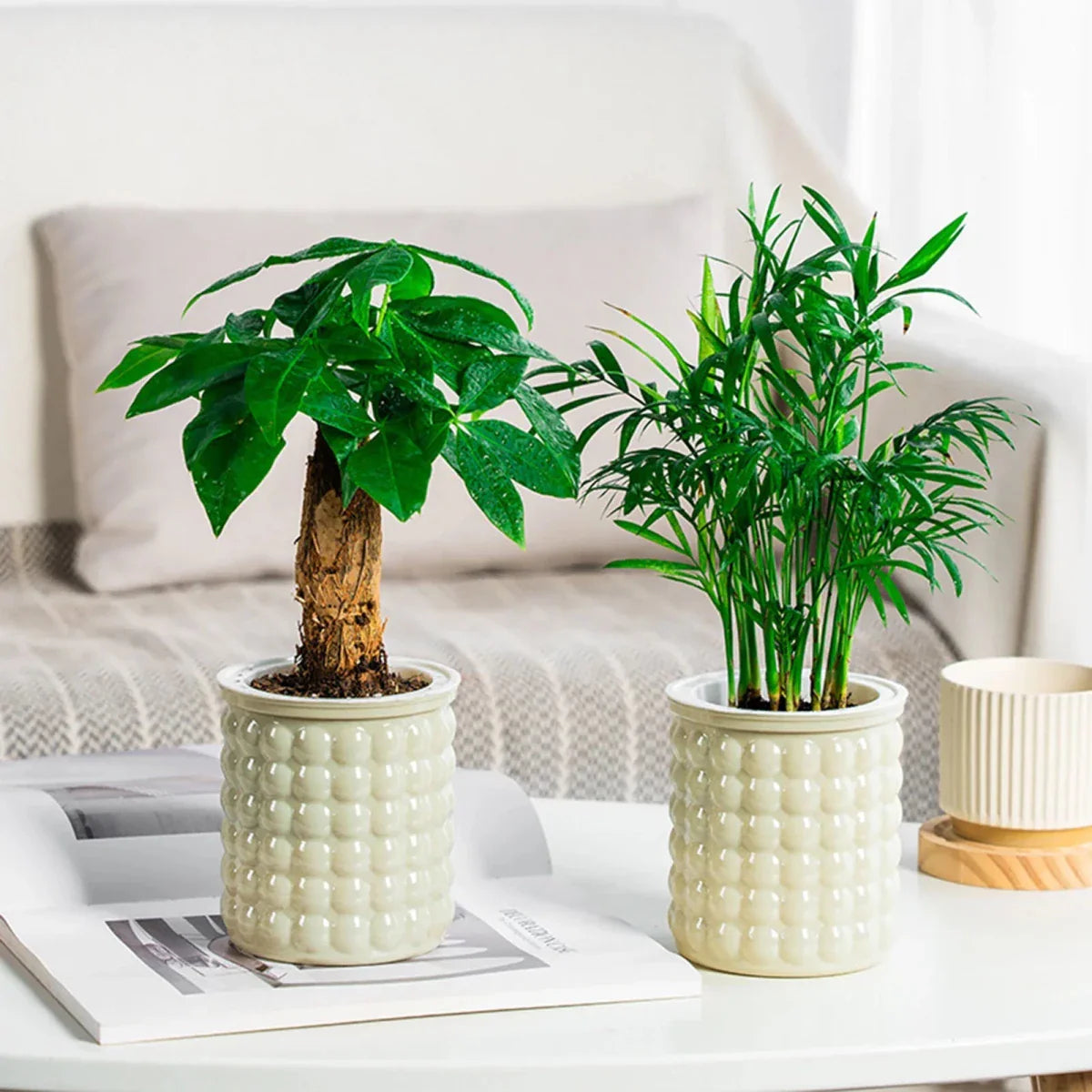 ECOBLOOM – Vaso per Fiori Idroponico Autoirrigante Eco-Friendly per Decorazione Moderna della Casa