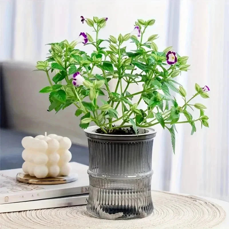 ECOROOT – Vaso da Interno Autoirrigante Ecologico con Design a Doppio Strato