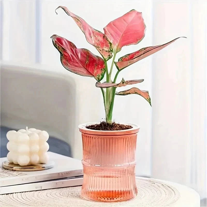 ECOROOT – Vaso da Interno Autoirrigante Ecologico con Design a Doppio Strato