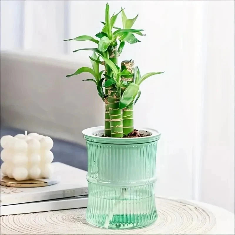 ECOROOT – Vaso da Interno Autoirrigante Ecologico con Design a Doppio Strato