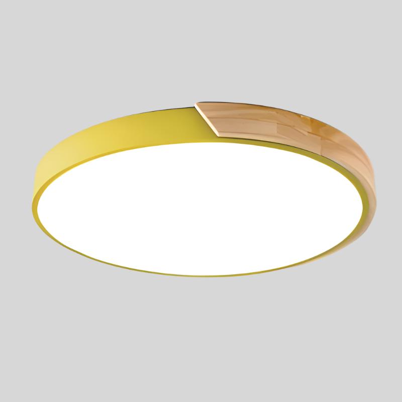 Scandinavian Circular LED Ceiling Light Fixture - Versatile, Elegant