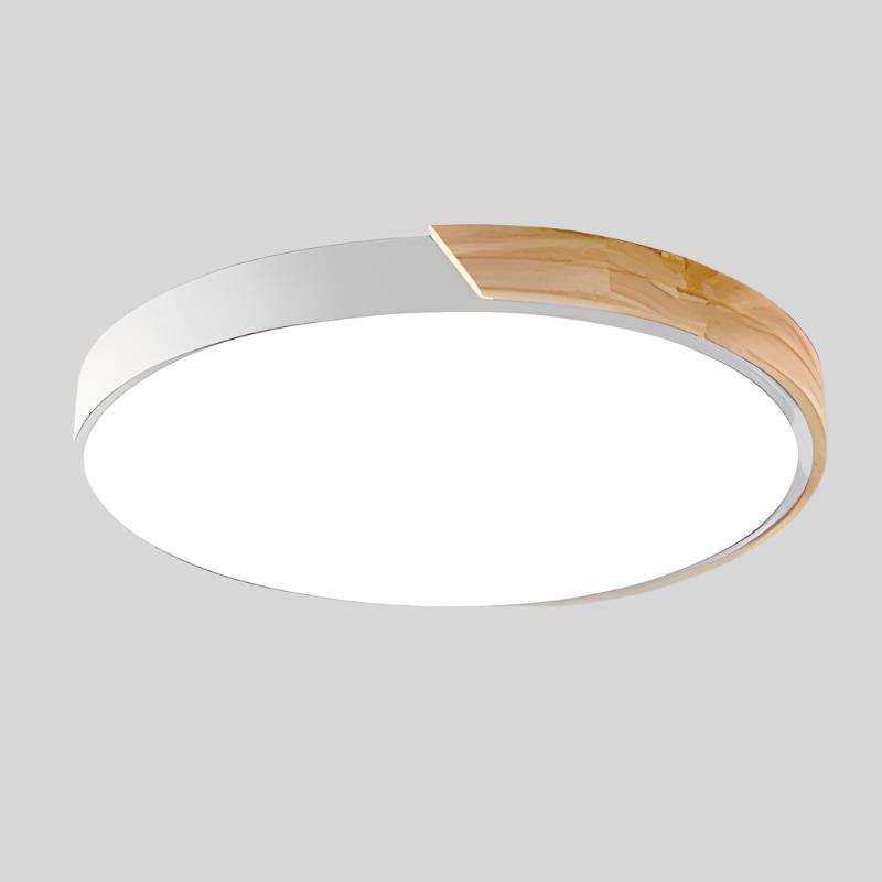 Scandinavian Circular LED Ceiling Light Fixture - Versatile, Elegant