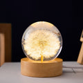 Lampada a sfera di cristallo con fiori eterni – Lumora