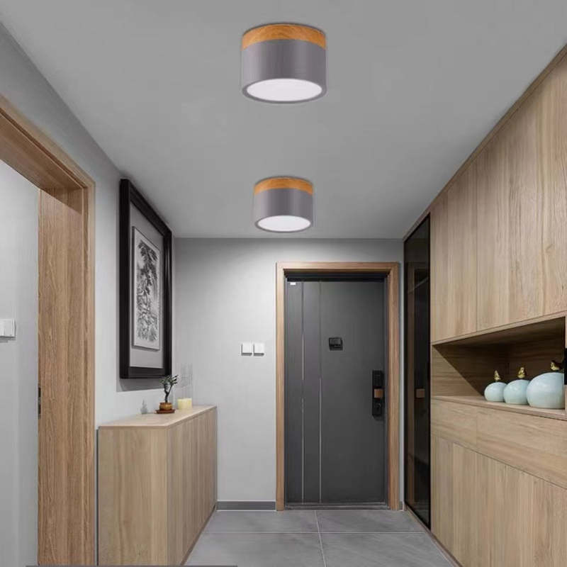 Lampada da soffitto LED Morandi Stile Moderno - LumiModo