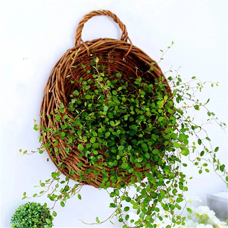 FLORABASK – Elegante Cesto in Vimini per Piante Decorative