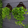 FLORABASK – Elegante Cesto in Vimini per Piante Decorative