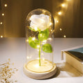 Flore – Rosa in Cupola di Vetro con Illuminazione a LED