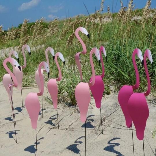 Decorazione da Giardino Flamingolo™️ 1+1 Gratis (2 Pezzi)